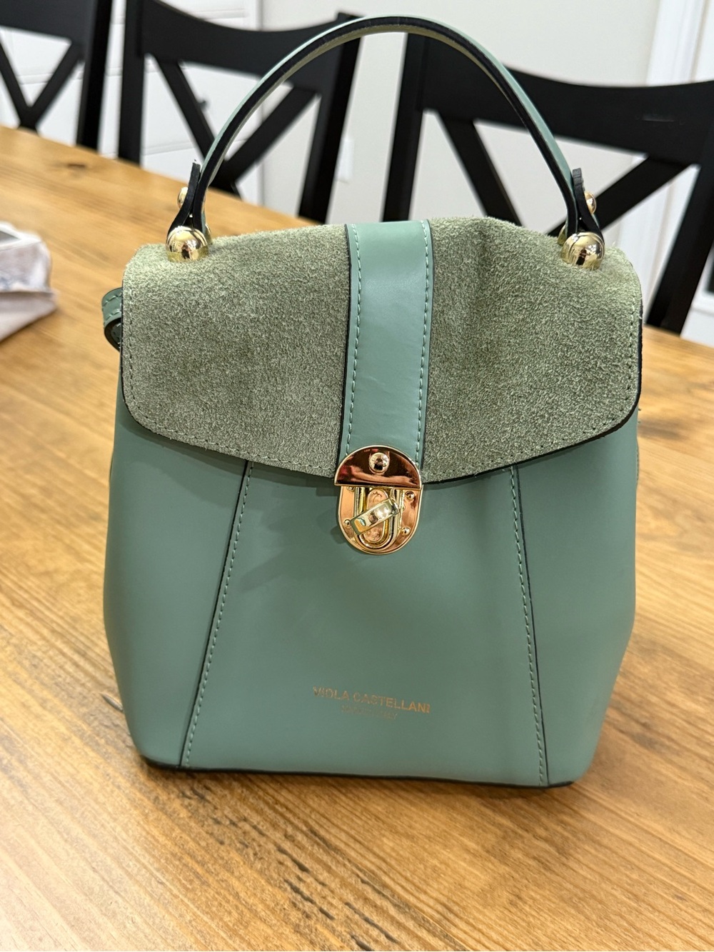 Viola Castellani Italian Leather Suede Convertible Backpack Handbag NWOT